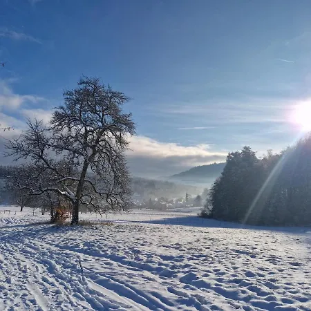 Hotel Platzhirsch Gaggenau