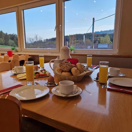 Platzhirsch 3* Gaggenau