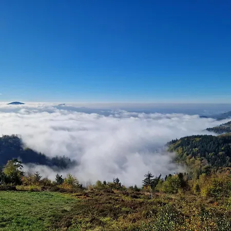 Platzhirsch Hotel Gaggenau