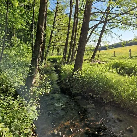Platzhirsch