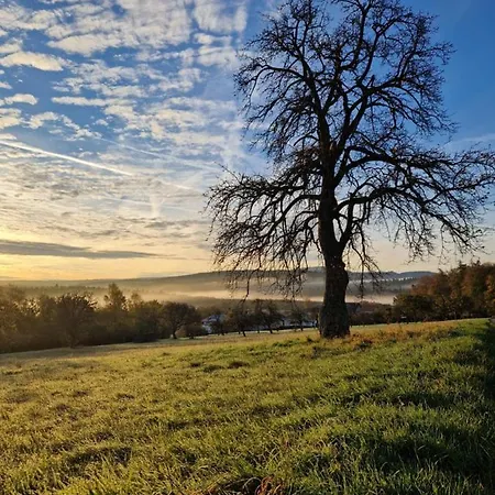 Platzhirsch 3* Gaggenau