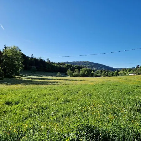 Platzhirsch Gaggenau