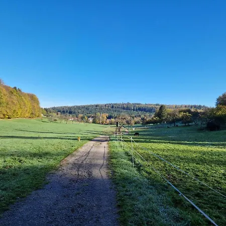 Platzhirsch Hotell Gaggenau