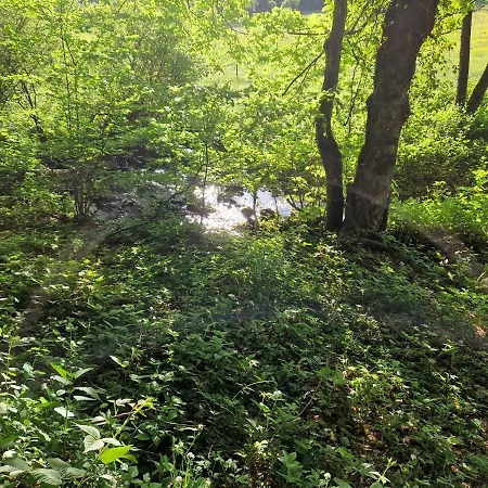 Platzhirsch Hotel 3*