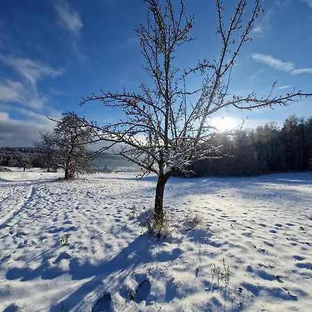 Hotel Platzhirsch 3*
