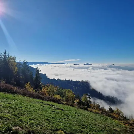 Hotel Platzhirsch 3*