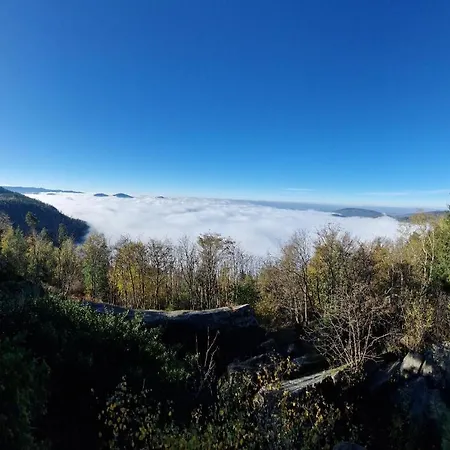 Platzhirsch Gaggenau