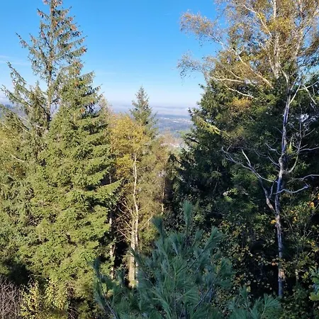 Platzhirsch 3* Gaggenau