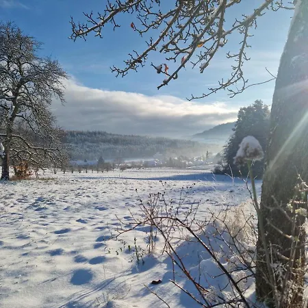 Platzhirsch Hotel 3*