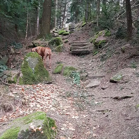 Hotel Platzhirsch Gaggenau