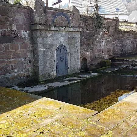 Platzhirsch 3* Gaggenau