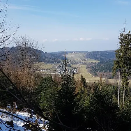 Platzhirsch