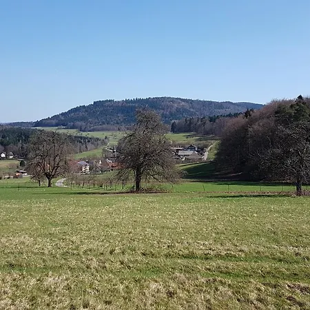 Platzhirsch Hotel 3*