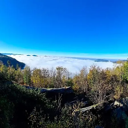 Platzhirsch Отель 3*
