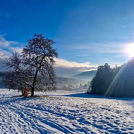 Platzhirsch