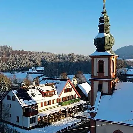 Отель Platzhirsch Гаггенау