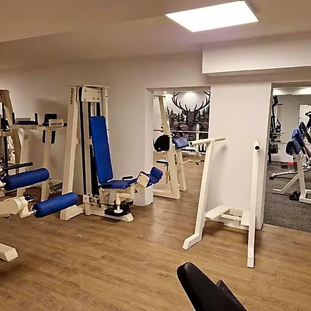 Platzhirsch 3* Гаггенау