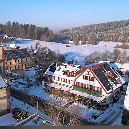 Отель Platzhirsch 3*