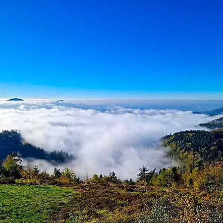 Platzhirsch Отель 3*