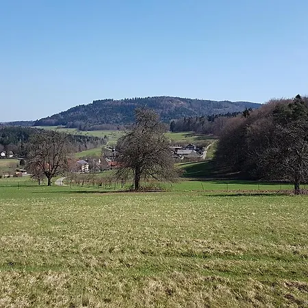 Platzhirsch Gaggenau