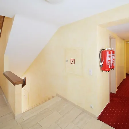 Platzhirsch Hotell 3*