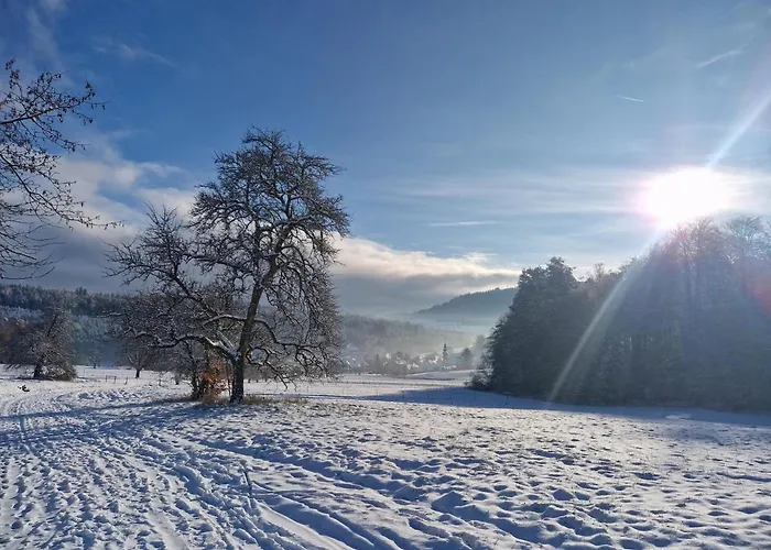 호텔 Platzhirsch 가게나우