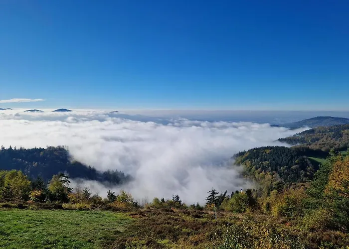 Platzhirsch 호텔 가게나우