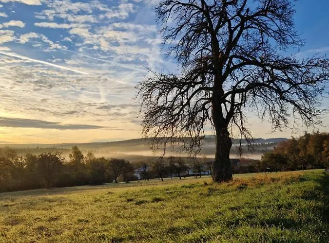 Platzhirsch 3* 가게나우