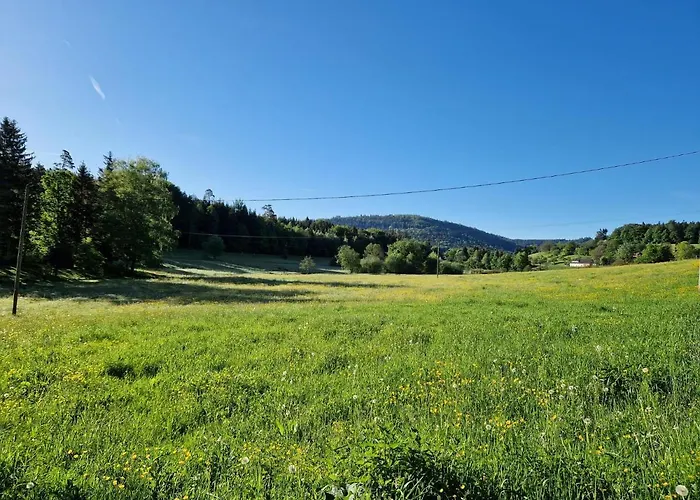 Platzhirsch 가게나우