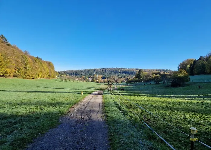 Platzhirsch Szálloda Gaggenau