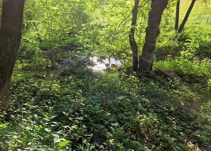 Platzhirsch Szálloda 3*