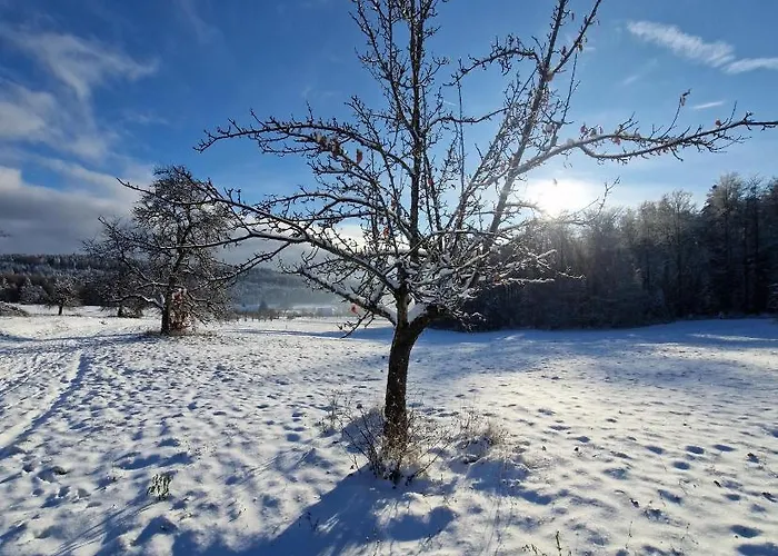 호텔 Platzhirsch 3*