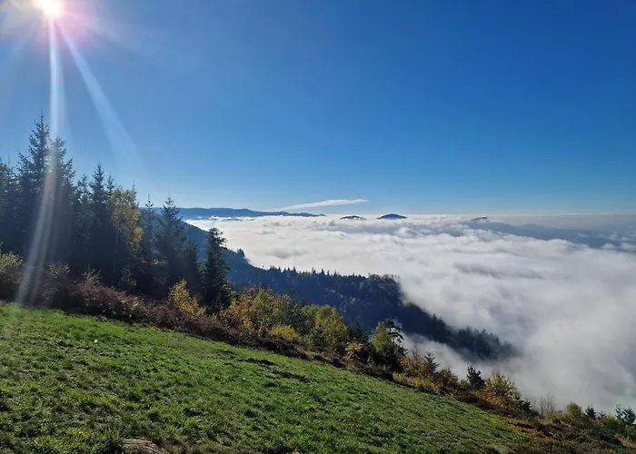 Szálloda Platzhirsch 3*