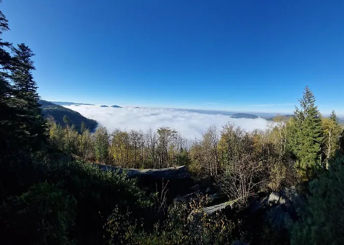 Platzhirsch 가게나우