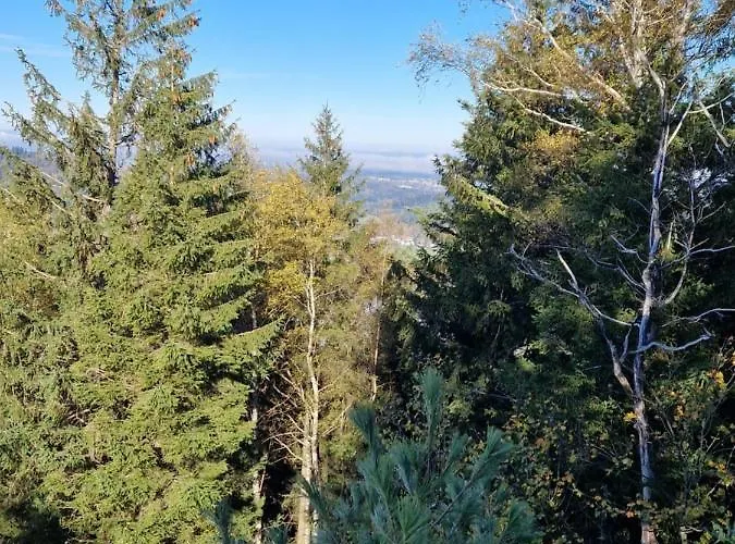 Platzhirsch 3* 가게나우