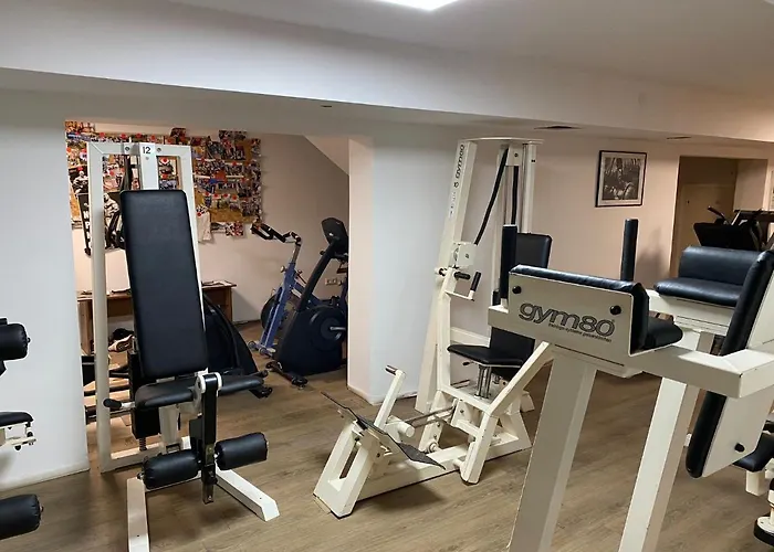 호텔 Platzhirsch 가게나우