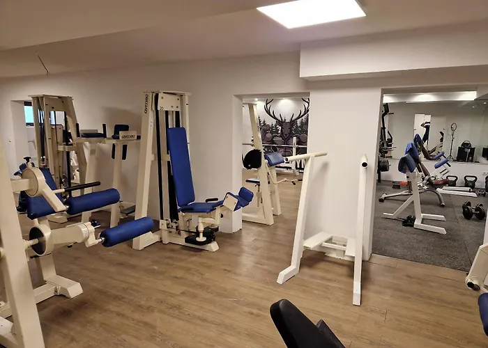 Platzhirsch Szálloda Gaggenau