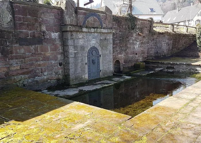 Platzhirsch 3* Gaggenau